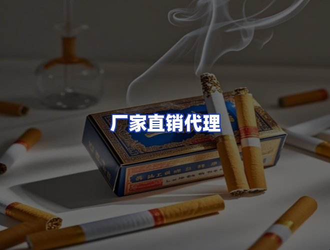 专业团队